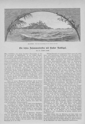 Deutsch südwestafrika gustav - deutsch-südwestafrika,