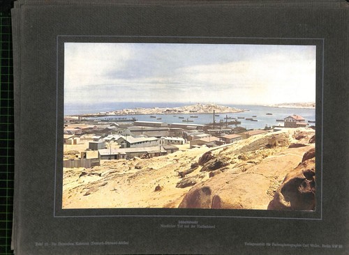 (n2304033)