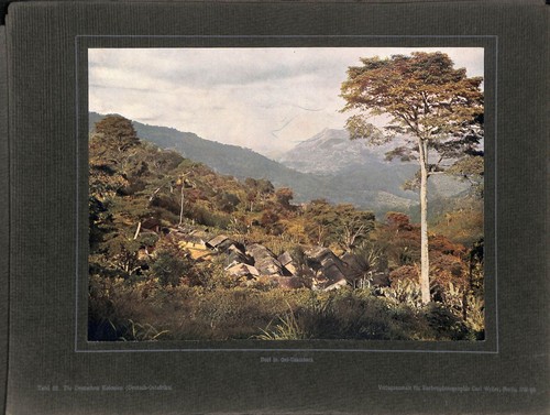 Usambara ost - ,